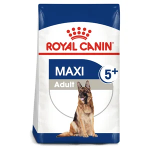 maxi adult royal canin