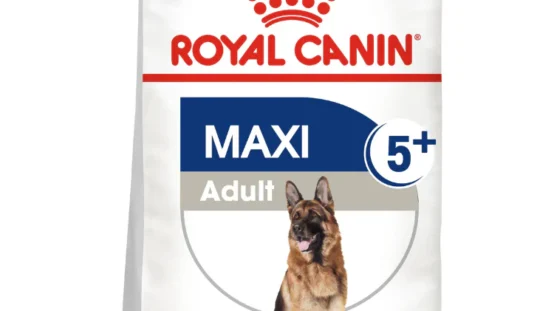 Which is the best UAE pet food store to buy Royal Canin size health nutrition maxi adult