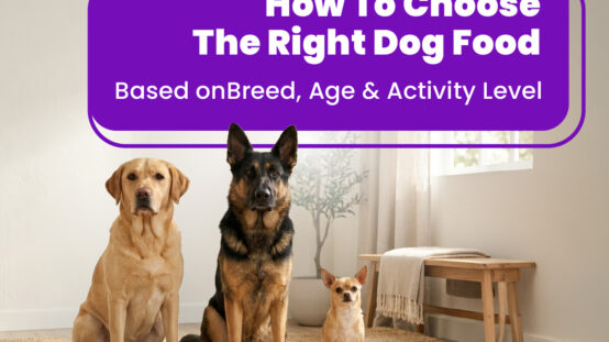 Best Dog Food in UAE 2026: The Complete Guide for Pet Owners by PetCentral UAE